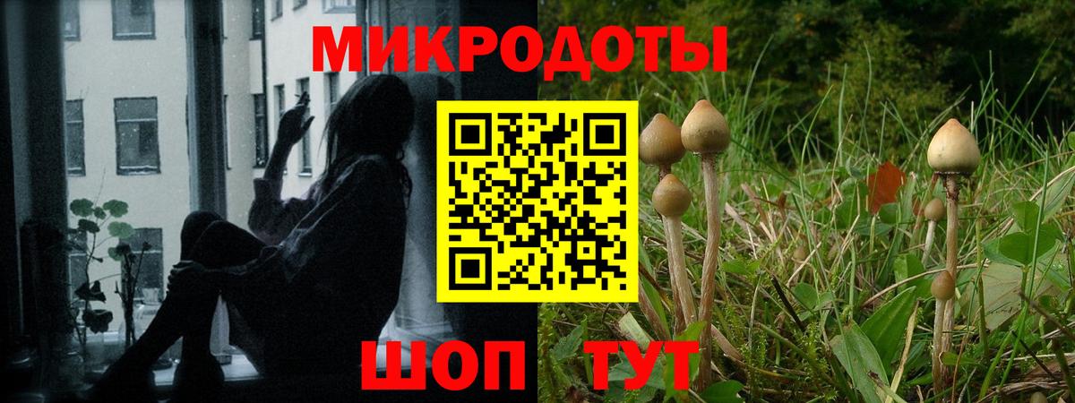 купить наркотик  Кореновск  Псилоцибиновые грибы Magic Shrooms  Псилоцибиновые грибы Magic Shrooms 