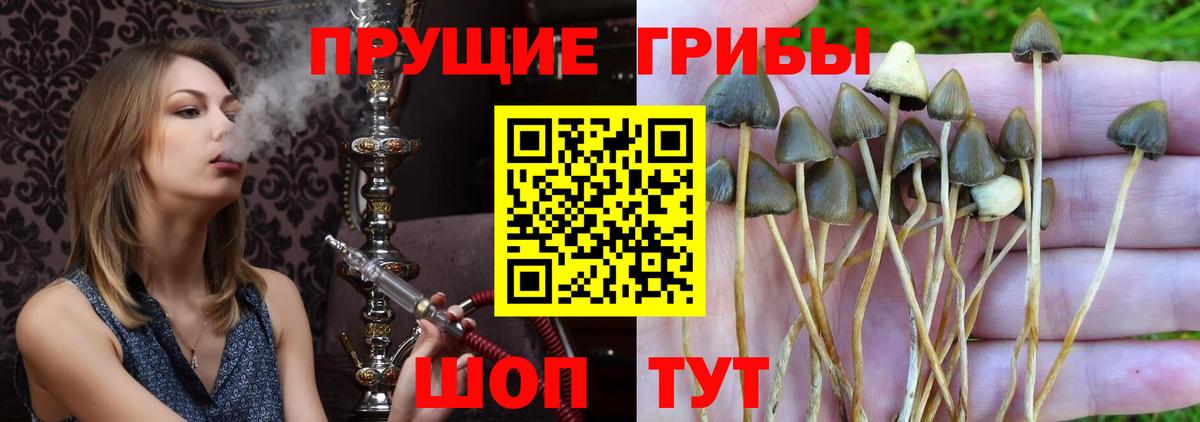 Мефедрон Кореновск