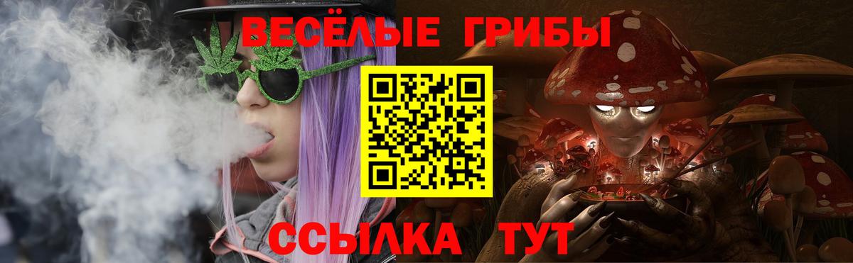 Кореновск  Псилоцибиновые грибы GOLDEN TEACHER  Псилоцибиновые грибы мухоморы  наркота  Вход с VPN 